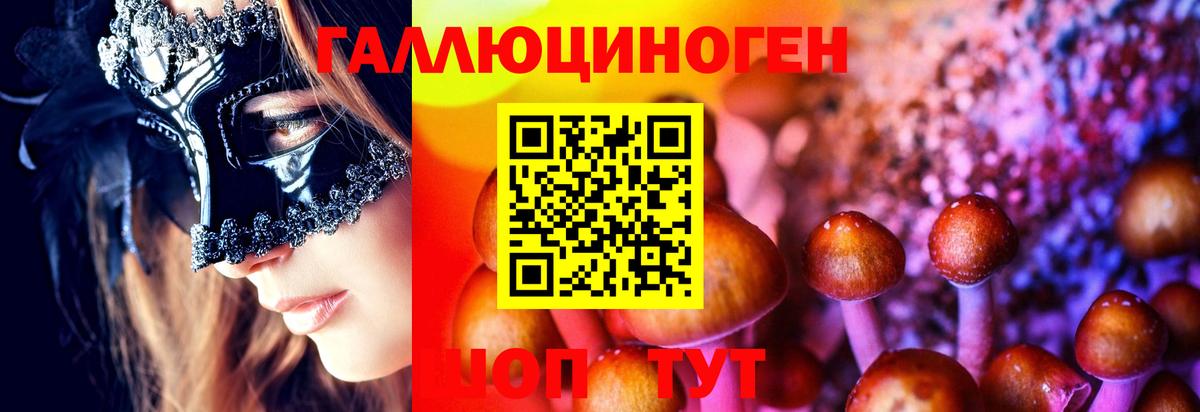 Химки  Галлюциногенные грибы Cubensis  Вход с VPN 